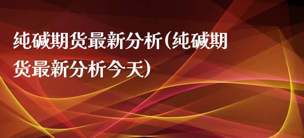 纯碱期货最新分析(纯碱期货最新分析今天)_https://www.gzbbqc.com_纳指期货_第1张
