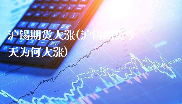 沪锡期货大涨(沪锡期货今天为何大涨)_https://www.gzbbqc.com_期货知识_第1张