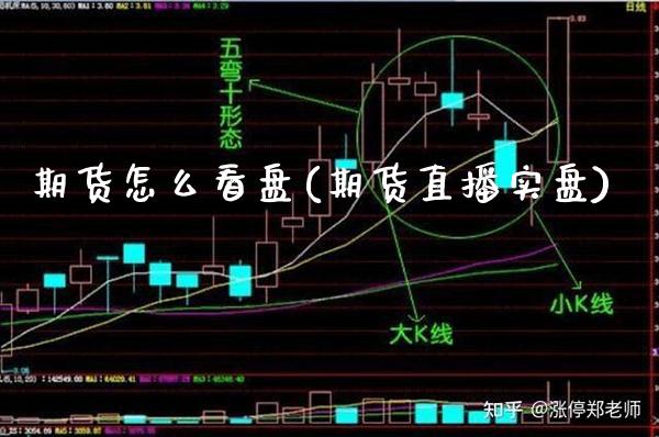 期货怎么看盘(期货直播实盘)_https://www.gzbbqc.com_股指期货_第1张