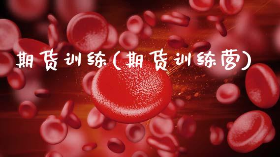 期货训练(期货训练营)_https://www.gzbbqc.com_德指期货_第1张