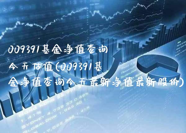 009391基金净值查询今天估值(009391基金净值查询今天最新净值最新股价)_https://www.gzbbqc.com_原油期货_第1张