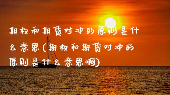 期权和期货对冲的原则是什么意思(期权和期货对冲的原则是什么意思啊)_https://www.gzbbqc.com_股指期货_第1张
