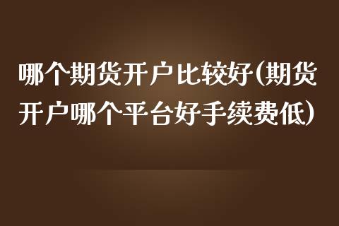 哪个期货开户比较好(期货开户哪个平台好手续费低)_https://www.gzbbqc.com_纳指期货_第1张