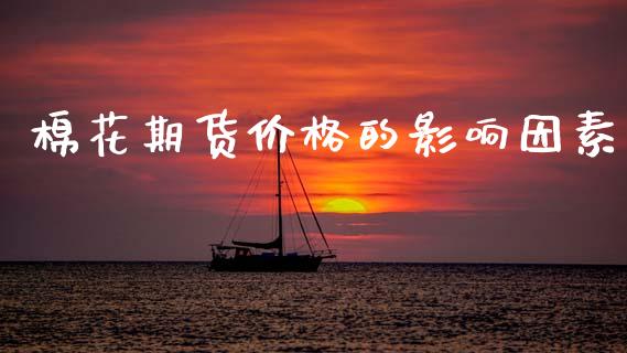 棉花期货价格的影响因素_https://www.gzbbqc.com_道指期货_第1张