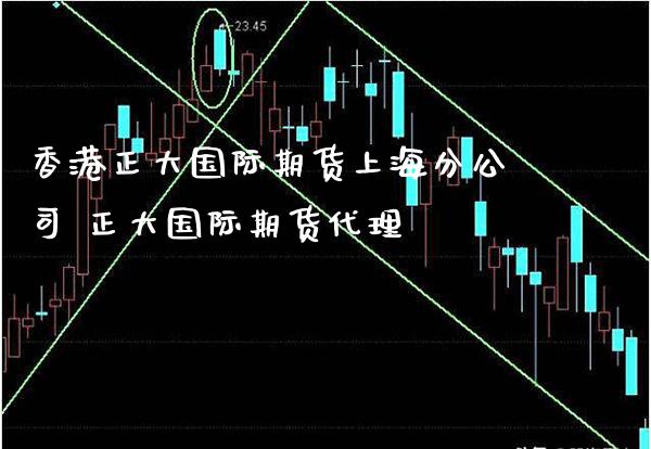 香港正大国际期货上海分公司 正大国际期货代理_https://www.gnhpgy.com_恒指期货_第1张