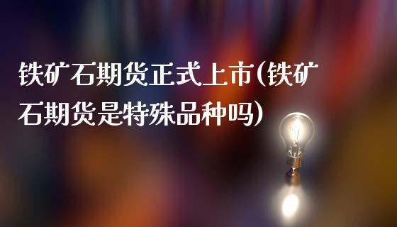 铁矿石期货正式上市(铁矿石期货是特殊品种吗)_https://www.gzbbqc.com_恒指期货_第1张