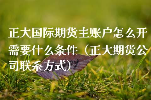正大国际期货主账户怎么开需要什么条件（正大期货公司联系方式）_https://www.gzbbqc.com_恒指期货_第1张
