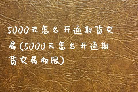 5000元怎么开通期货交易(5000元怎么开通期货交易权限)_https://www.gzbbqc.com_道指期货_第1张