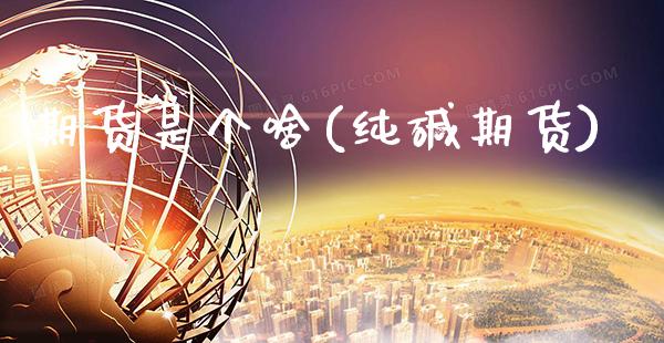 期货是个啥(纯碱期货)_https://www.gzbbqc.com_纳指期货_第1张