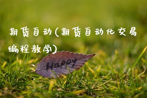 期货自动(期货自动化交易编程教学)_https://www.gzbbqc.com_纳指期货_第1张