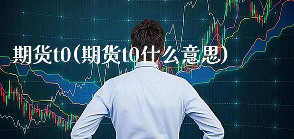 期货t0(期货t0什么意思)_https://www.gzbbqc.com_恒指期货_第1张