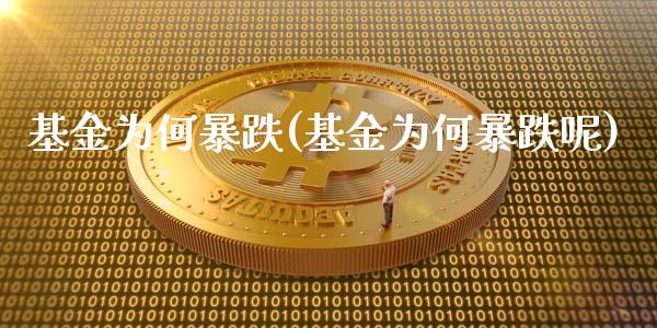 基金为何暴跌(基金为何暴跌呢)_https://www.gzbbqc.com_纳指期货_第1张