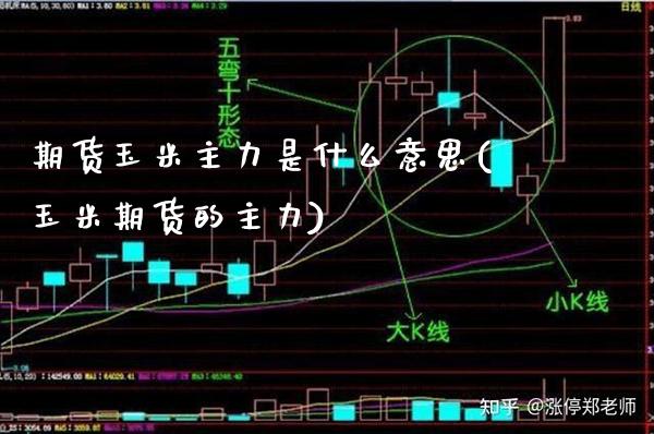 期货玉米主力是什么意思(玉米期货的主力)_https://www.gzbbqc.com_道指期货_第1张