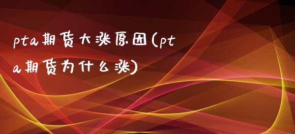 pta期货大涨原因(pta期货为什么涨)_https://www.gzbbqc.com_期货知识_第1张
