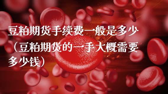 豆粕期货手续费一般是多少（豆粕期货的一手大概需要多少钱）_https://www.gzbbqc.com_恒指期货_第1张