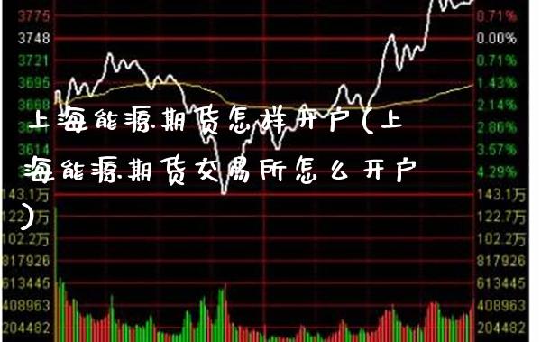 上海能源期货怎样开户(上海能源期货交易所怎么开户)_https://www.gzbbqc.com_股指期货_第1张