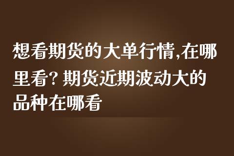 想看期货的大单行情,在哪里看? 期货近期波动大的品种在哪看_https://www.gnhpgy.com_道指期货_第1张
