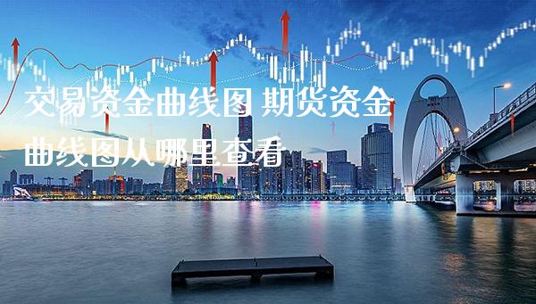 交易资金曲线图 期货资金曲线图从哪里查看_https://www.gnhpgy.com_黄金期货_第1张