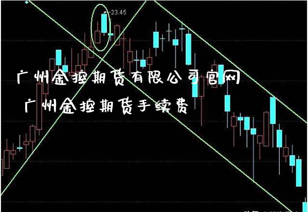 广州金控期货有限公司 广州金控期货手续费_https://www.gnhpgy.com_道指期货_第1张