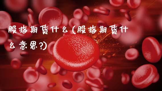 股指期货什么(股指期货什么意思?)_https://www.gzbbqc.com_道指期货_第1张
