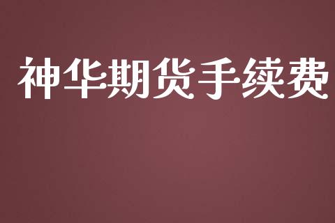 神华期货手续费_https://www.gzbbqc.com_股指期货_第1张