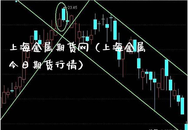 上海金属期货网（上海金属今日期货行情）_https://www.gzbbqc.com_恒指期货_第1张
