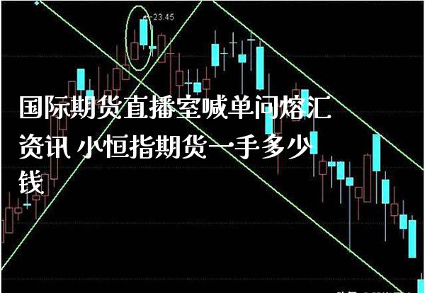 国际期货直播室喊单问熔汇资讯 小恒指期货一手多少钱_https://www.gzbbqc.com_黄金期货_第1张