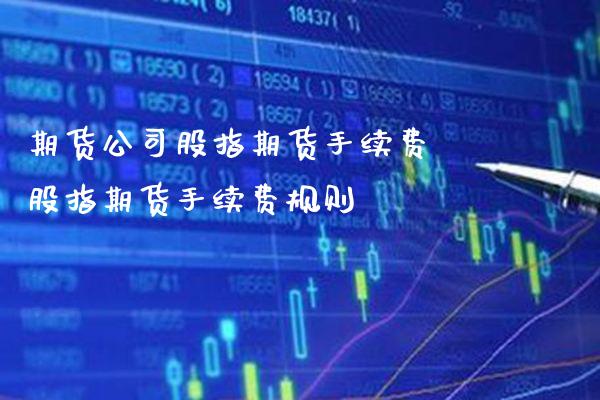 期货公司股指期货手续费 股指期货手续费规则_https://www.gnhpgy.com_纳指期货_第1张