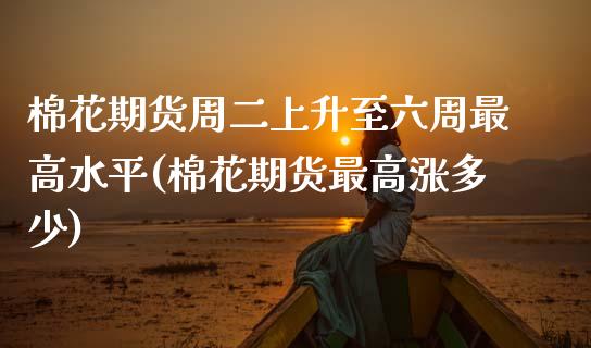棉花期货周二上升至六周最高水平(棉花期货最高涨多少)_https://www.gzbbqc.com_恒指期货_第1张