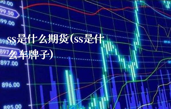 ss是什么期货(ss是什么车牌子)_https://www.gzbbqc.com_黄金期货_第1张