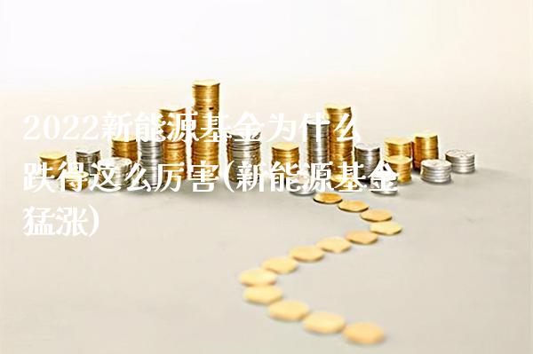 2022新能源基金为什么跌得这么厉害(新能源基金猛涨)_https://www.gzbbqc.com_纳指期货_第1张