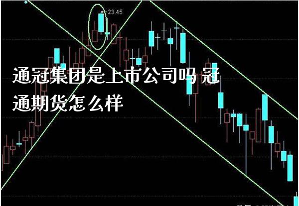 通冠集团是上市公司吗 冠通期货怎么样_https://www.gnhpgy.com_纳指期货_第1张