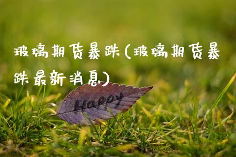 玻璃期货暴跌(玻璃期货暴跌最新消息)_https://www.gzbbqc.com_纳指期货_第1张