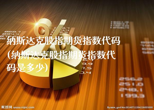 纳斯达克股指期货指数代码(纳斯达克股指期货指数代码是多少)_https://www.gzbbqc.com_期货知识_第1张
