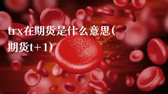trx在期货是什么意思(期货t+1)_https://www.gzbbqc.com_期货知识_第1张