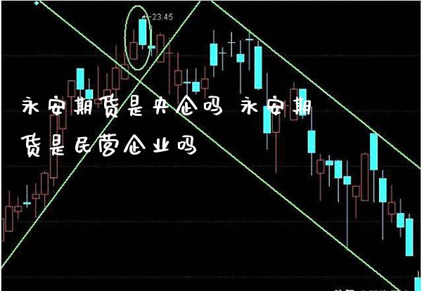 永安期货是央企吗 永安期货是民营企业吗_https://www.gzbbqc.com_纳指期货_第1张