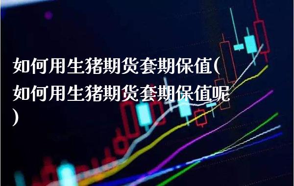 如何用生猪期货套期保值(如何用生猪期货套期保值呢)_https://www.gzbbqc.com_纳指期货_第1张