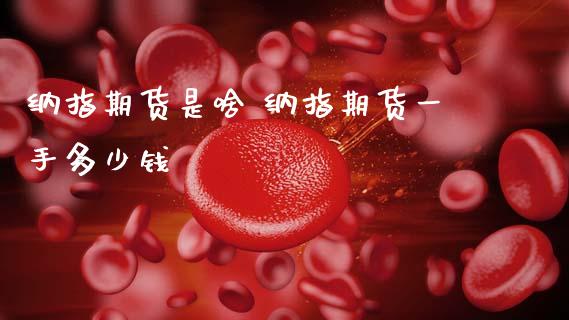 纳指期货是啥 纳指期货一手多少钱_https://www.gnhpgy.com_纳指期货_第1张