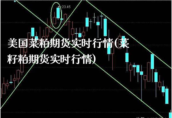 美国菜粕期货实时行情(菜籽粕期货实时行情)_https://www.gzbbqc.com_纳指期货_第1张