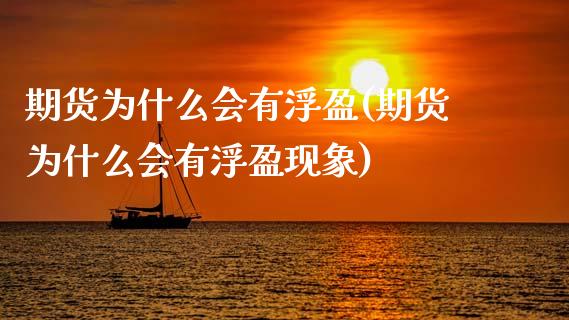 期货为什么会有浮盈(期货为什么会有浮盈现象)_https://www.gzbbqc.com_黄金期货_第1张