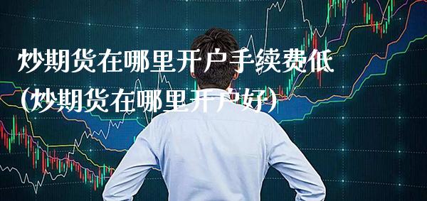 炒期货在哪里开户手续费低(炒期货在哪里开户好)_https://www.gzbbqc.com_恒指期货_第1张