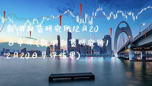 新湖期货研究所12月20日早评(新湖期货研究所12月20日早评结果)_https://www.gzbbqc.com_股指期货_第1张