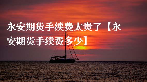 永安期货手续费太贵了【永安期货手续费多少】_https://www.gzbbqc.com_恒指期货_第1张